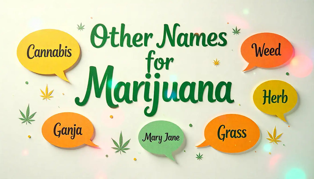 What Are the Other Names for Marijuana? Street Names, Slang, and Culture